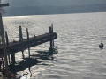 Service-poit Graf Bootswerft Ponton fixe