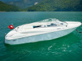 Wellcraft 18 SL DayCruiser Imbarcazione da diporto