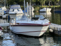Wellcraft 202 Nova Sportboot