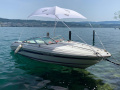 Sea Ray 200 SR Bateau de sport