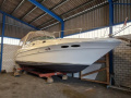 Sea Ray Sundancer 340 DA Yacht à moteur