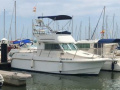 Goymar 800 Fly Flybridge