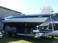 Helmsmann Helmsman-Barracuda 35' Segelyacht