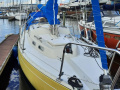 Albin vega Segelyacht