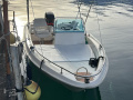 Molinari 465V Bateau à moteur classique