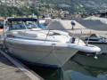 Sea Ray 310 DA Kajütboot