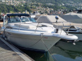 Sea Ray 310 DA Semicabinato