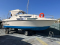 Coronet 26 Sportboot