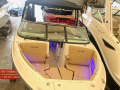 Sea Ray 250 SLX Bowrider Wakeboard Tower Bowrider