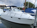 Chris Craft 262 Crowne Kajütboot