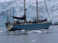 Damien II Schooner 49 Segelyacht