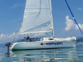 Dolphin Dod 24.5 Regattaboot