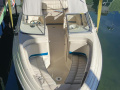 Larson SEI 235 BR Bowrider