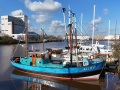 Noordzeekotter  &lsquo;WR 134&rsquo; Verdränger