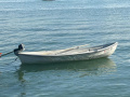 Terhi OY Saimann Rowing Boat