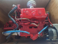 Bukh Diesel DV 24 RME Motor interior