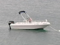 A Punzio Open 480 Konsolenboot