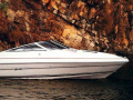 Sea Ray 200 OV LTD Yacht à moteur