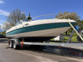 Stingray 609 ZP Imbarcazione da diporto