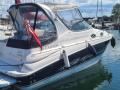 Larson 290 Iate a motor