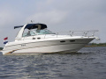 Sea Ray 310 Sundancer Yacht à moteur
