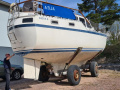 Turku Seacat 37 Painokölivene