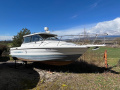 Bayliner Trophy 2159 Cuddy Kajütboot