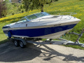 Wellcraft Classic 210 Sportboot