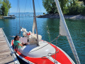CONGER Daysailer