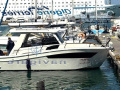 Tuccoli Marine T295 MONTECRISTO Hardtop