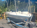 Dynamic 5000 Bowrider Sportboot