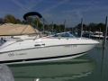 Cobalt 233 Sportboot