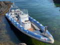 Ribeye RCL 890 RIB