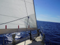 Motu 42 Segelyacht