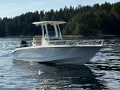 Boston Whaler 250 Dauntless Konsolenboot