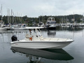 Boston Whaler 250 Dauntless Konsolenboot