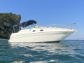 Sea Ray Sundancer 260 Motoscafo