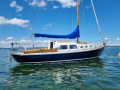 Conyplex Contest 29 Segelyacht