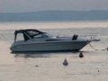Sea Ray 310 DA Motoryacht