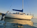 Oeja Batar Avance 24 Segelyacht
