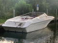Sea Ray 260 Overnighter Sportboot