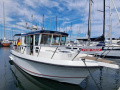 Nord Star 31 Patrol - Volvo Penta D6-435 Motoryacht