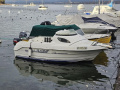 Quicksilver 420 Cabin Cabin Cruiser