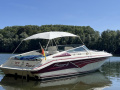 Sea Ray Pachanga 27 Sportboot