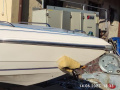 Stingray 558 Zpx Sürat teknesi
