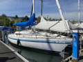 Tabasco Marin Inferno 29 Segelyacht