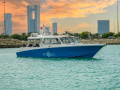 Aldhaen Craft Wave Breaker 410 Transporter Fahrgastschiff