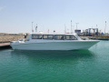 Aldhaen Craft Wave Breaker 410 Transporter Fahrgastschiff