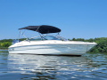 Campion Allante S 505 Bowrider Sportboot