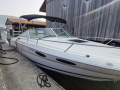 Sea Ray 230 OV Bowrider